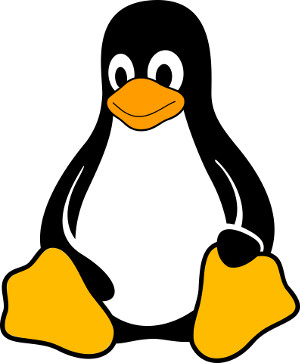 Linux nutzen